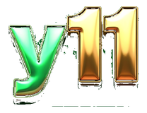 y11